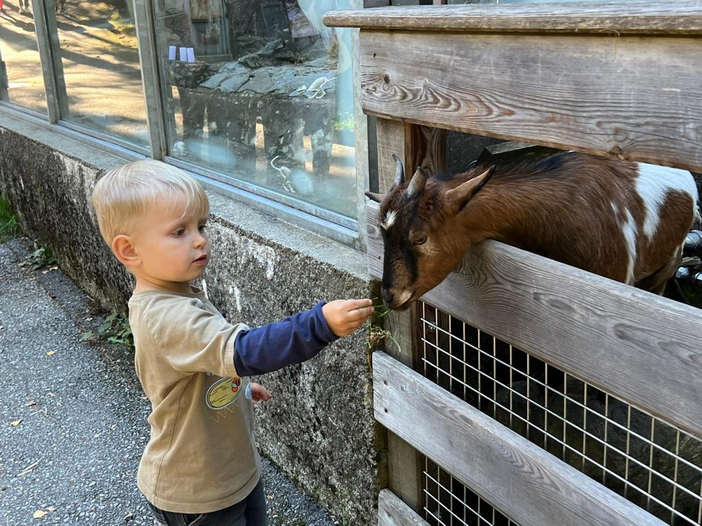 Visites guidée au zoo des Marécottes